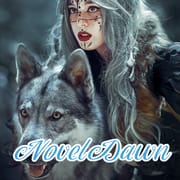 NovelDawn